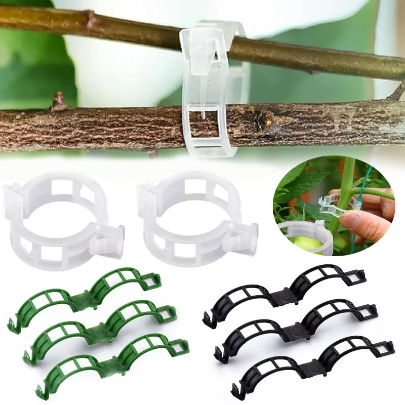 Smart Garden Hub - 100PCS Plant Fixing Clips Reusable Plant