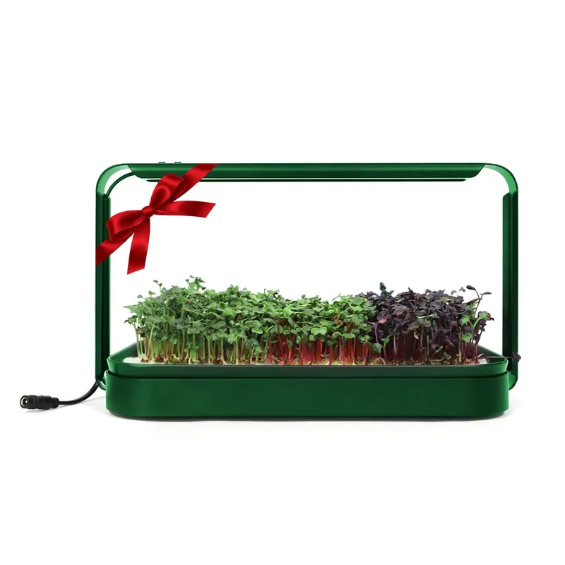 Christmas Gift Ideas Diy Home  - Smart Garden Ideas 评论和价格