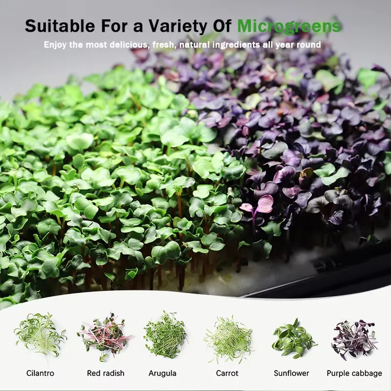 Christmas Gift Ideas Diy Home  - Smart Garden Ideas 评论和价格