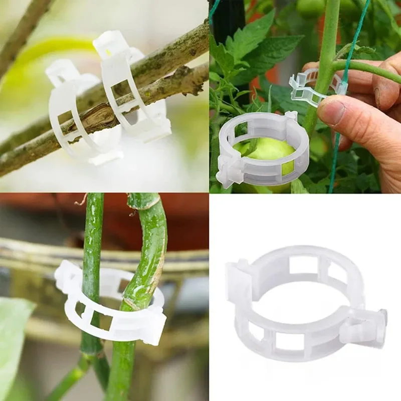 100PCS Plant Fixing Clips Reus - Smart Garden Hub 评论和价格