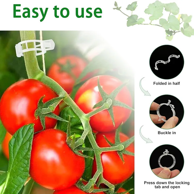 100PCS Plant Fixing Clips Reus - Smart Garden Hub 评论和价格