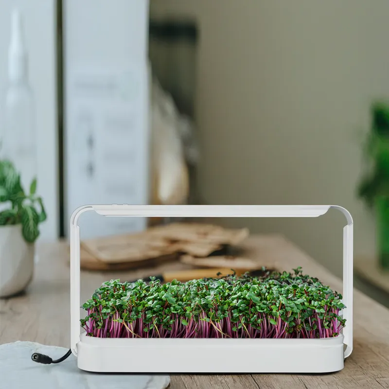 Indoor Herb Garden Grow Light  - Smart Garden Ideas 评论和价格