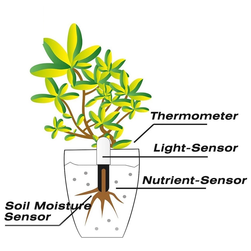 HHCC Flower Monitor Flora Gard - Smart Garden Hub 评论和价格